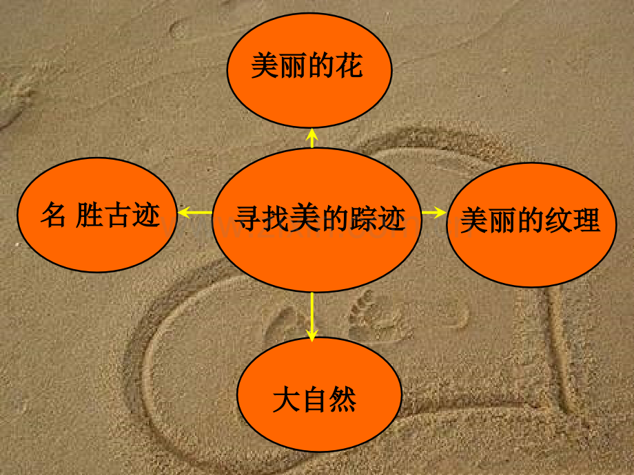人教版美术六下寻找美的踪迹.pptx_第2页