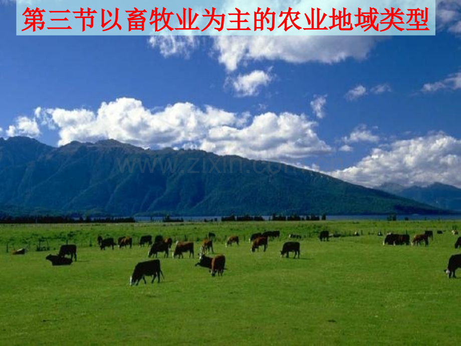以畜牧业为主的农业类型.pptx_第2页