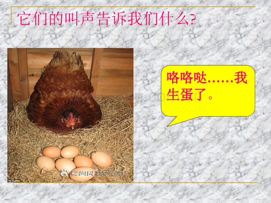 6声音与生活上课汇总.pptx_第2页