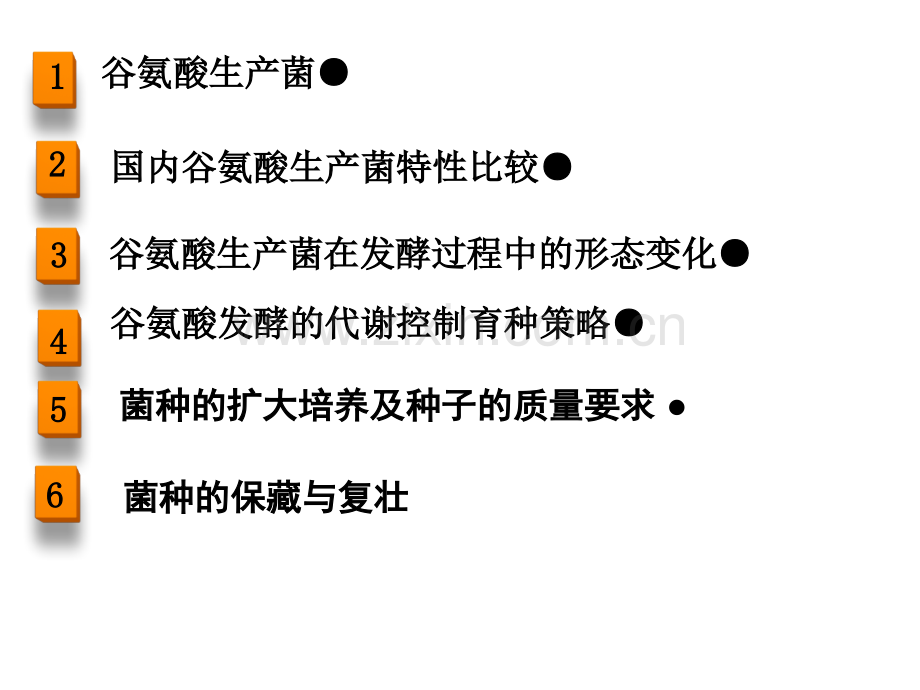 任务121谷氨酸生产菌模板.pptx_第2页