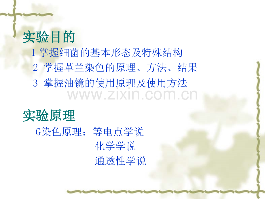 3实验三细菌形态结构观察及革兰染色全解.pptx_第2页