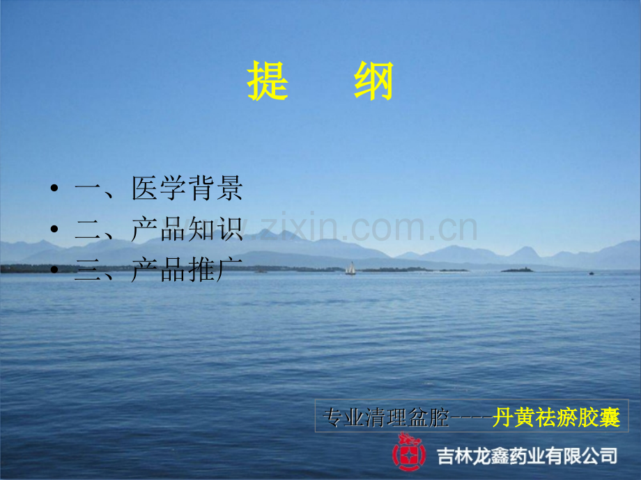 丹黄胶囊研究及临床资料幻灯片.pptx_第2页