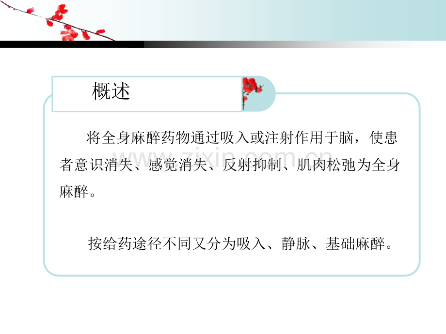 全麻手术的术前及术后护理.pptx_第2页