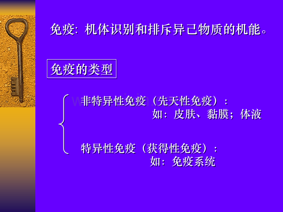 免疫大纲版.pptx_第1页
