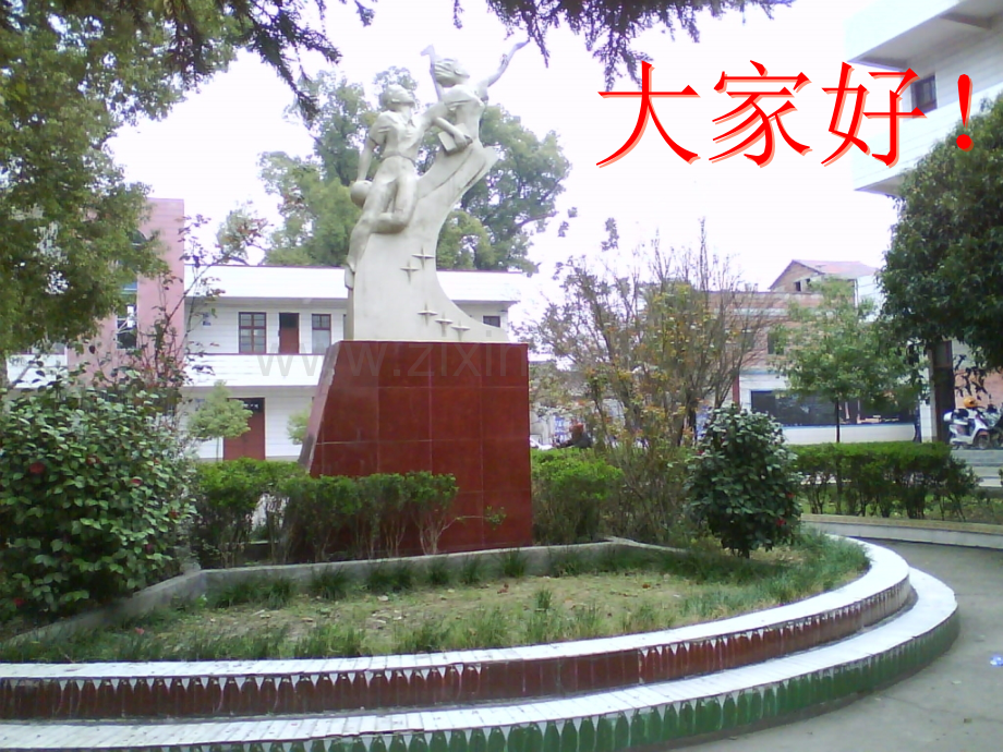 七年级美术美术与环境之森林之歌.pptx_第1页