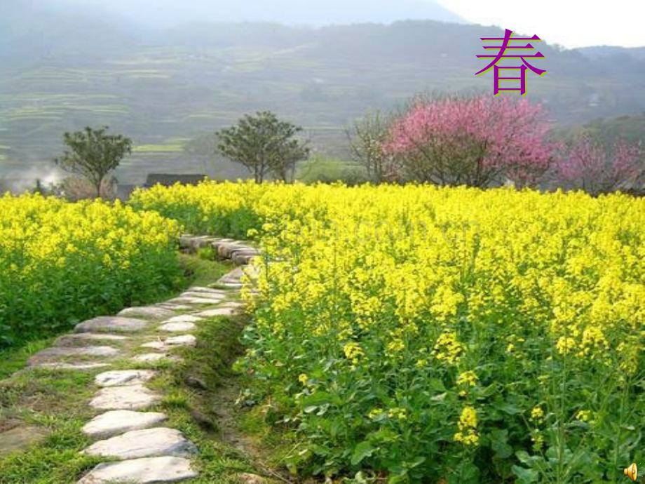 七年级美术美术与环境之森林之歌.pptx_第2页