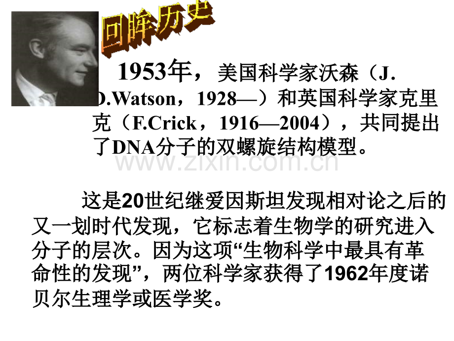 人教版教学基因突突变及其其他变异.pptx_第2页