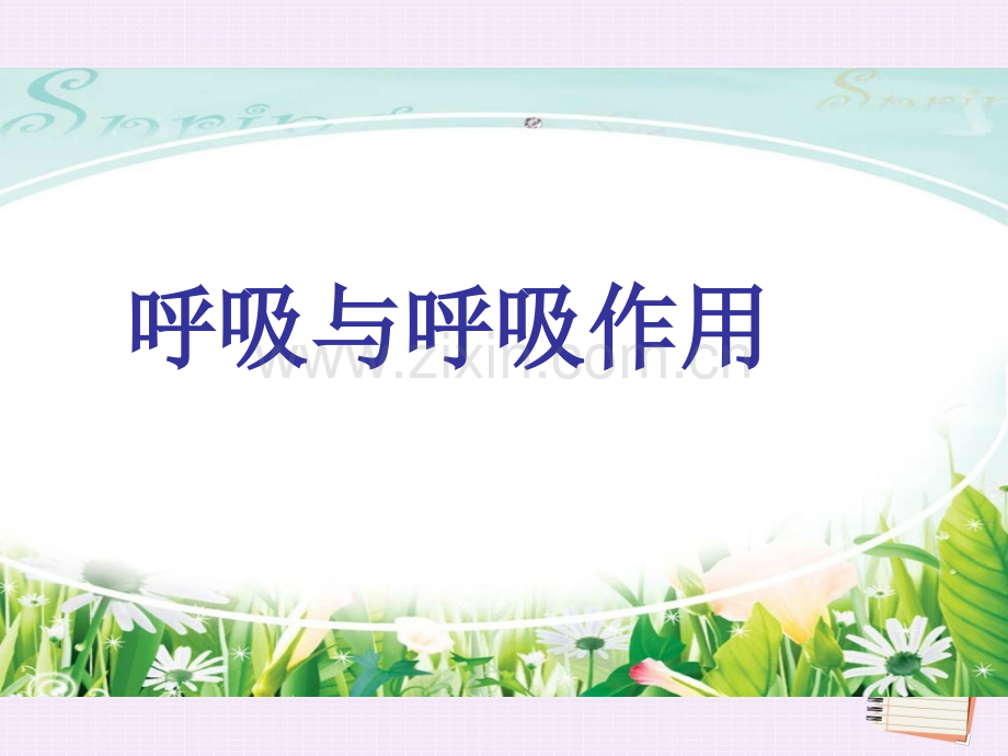 641呼吸和呼吸作用2015七年级生物下册.pptx_第1页
