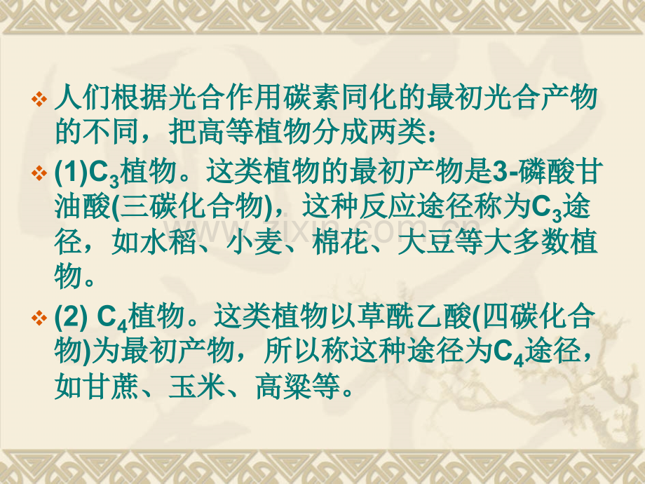C3C4和CAM植物的光合特性比较.pptx_第2页