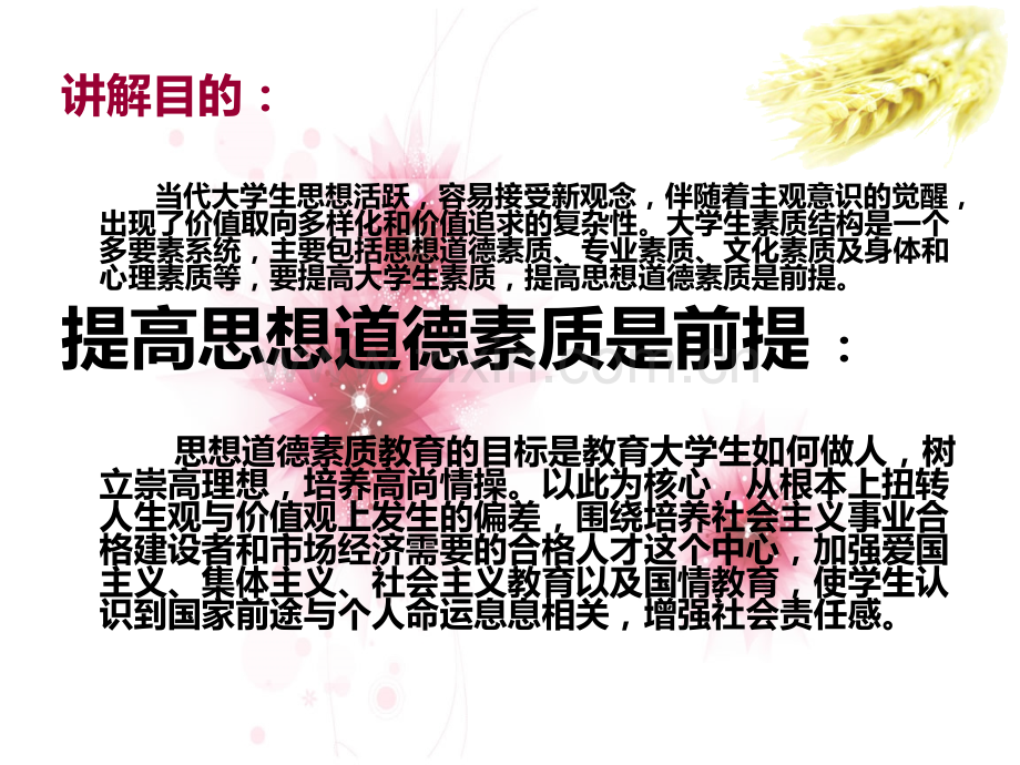 会计电算化高职生必备的道德品质.pptx_第2页