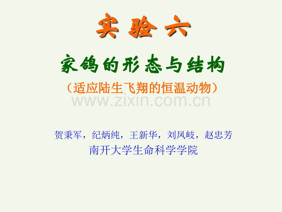 6家鸽的形态与结构.pptx_第1页