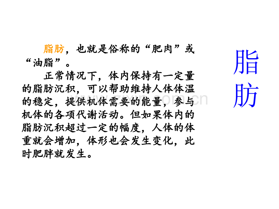 人教版四年级下册数学营养午餐.pptx_第2页