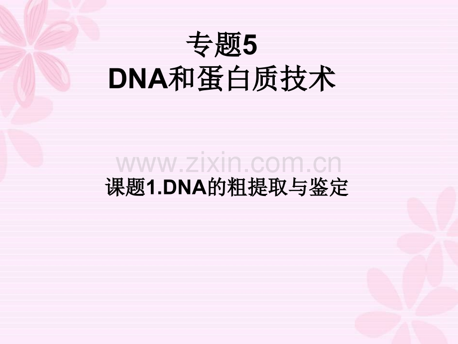 人教版教学51DNA的粗提取与鉴定.pptx_第1页