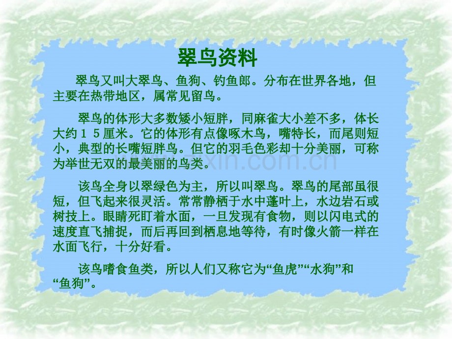 人教版小学语文翠鸟2.pptx_第2页