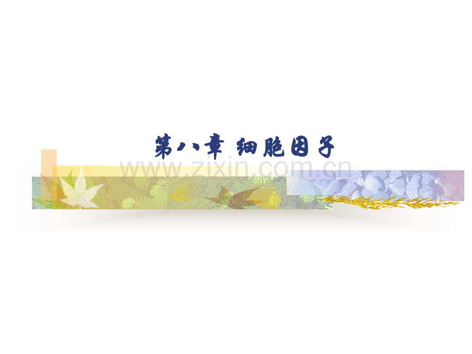 免疫学第八章细胞因子.pptx_第1页