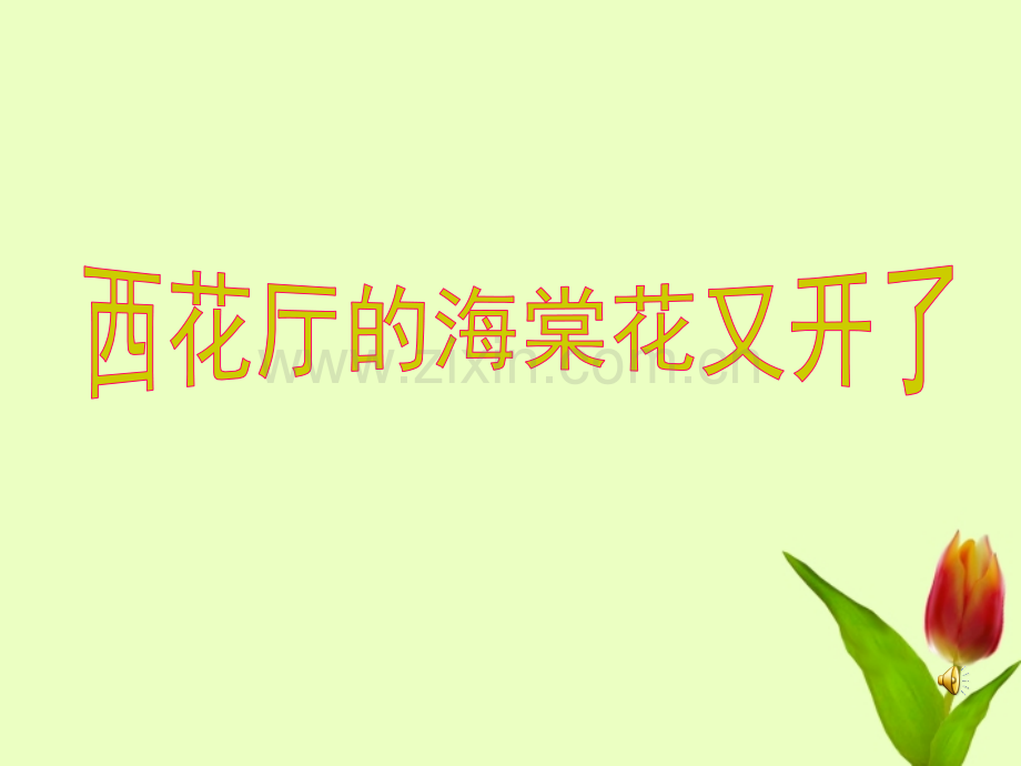 九年级语文上册西花厅的海棠花又开了教学语文版.pptx_第1页