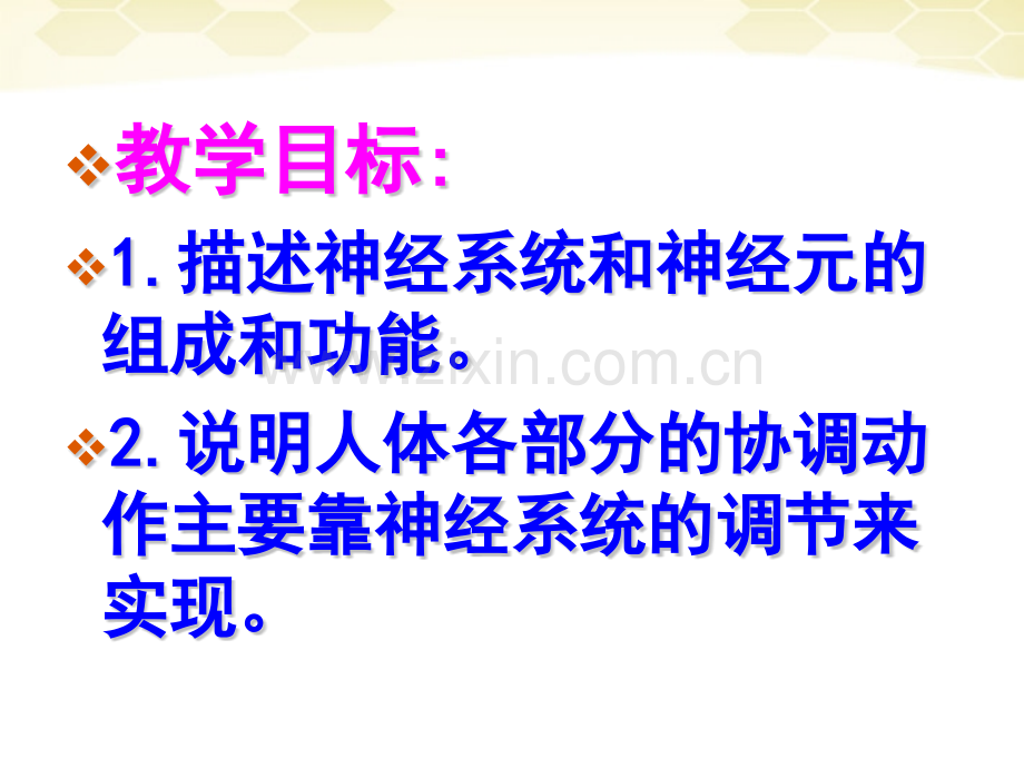 七年级生物下册神经系统的组成课件人教新课标版1.pptx_第2页