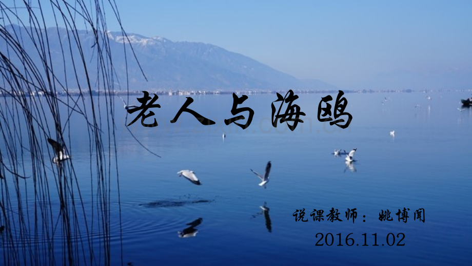人教版六年级语文老人与海鸥.pptx_第1页