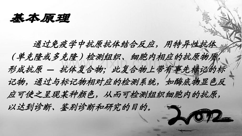 免疫组化.pptx_第2页