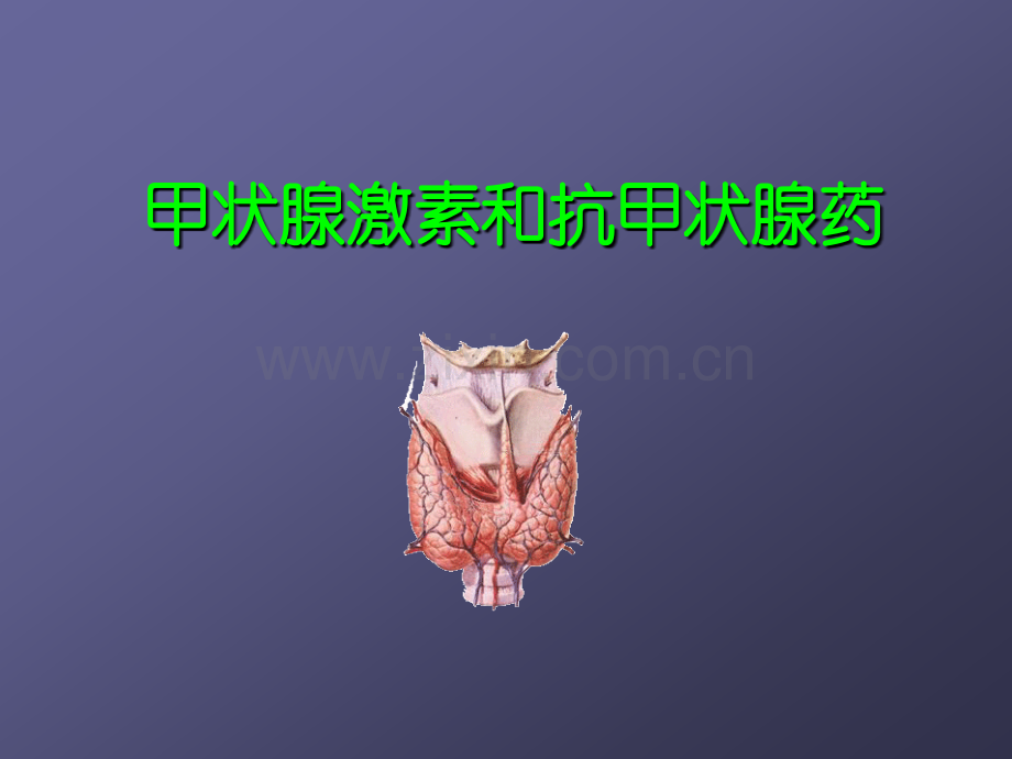 36抗甲状腺药.pptx_第1页