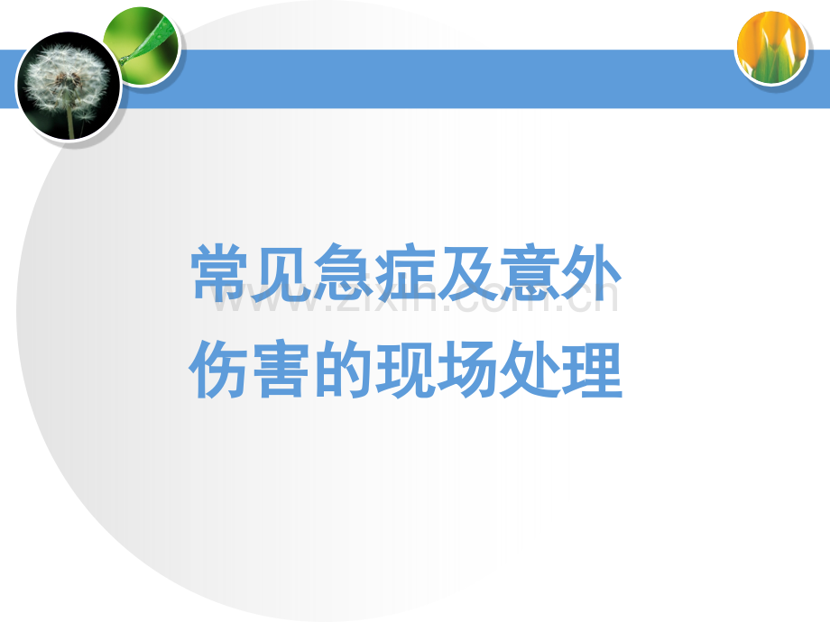 3常见急症及意外伤害现场处理解析.pptx_第1页