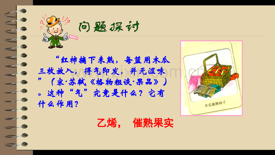 33其他植物激素.pptx_第2页