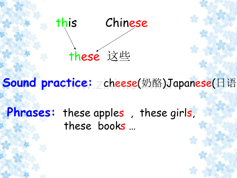 BUnit牛津小学英语.pptx_第2页
