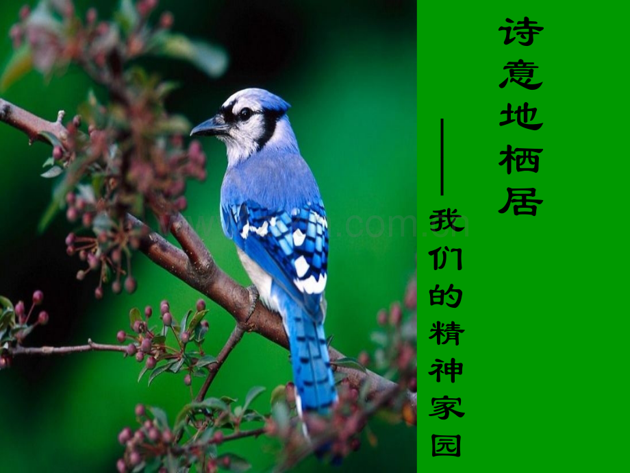 中国文学史全.pptx_第1页