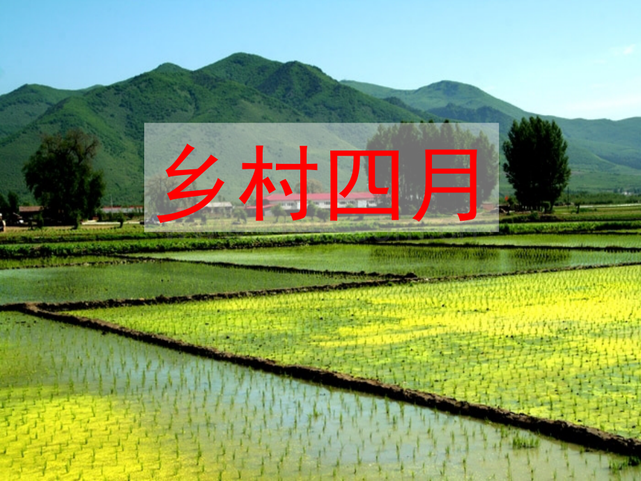 23古诗词三首.pptx_第1页