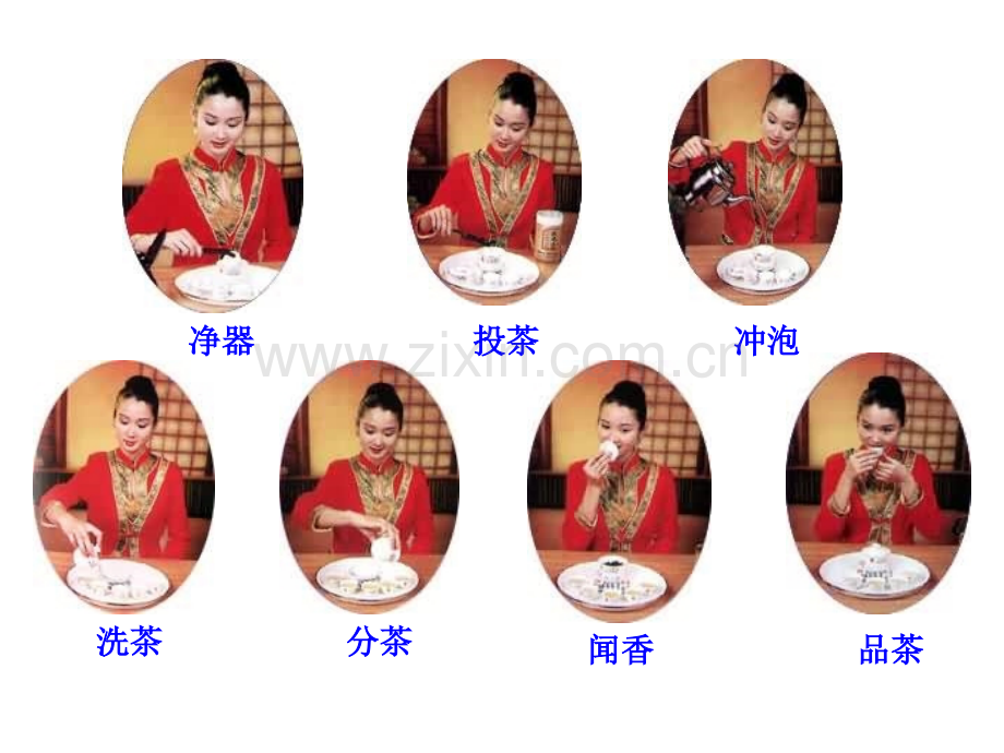 中国茶艺泡茶.pptx_第1页