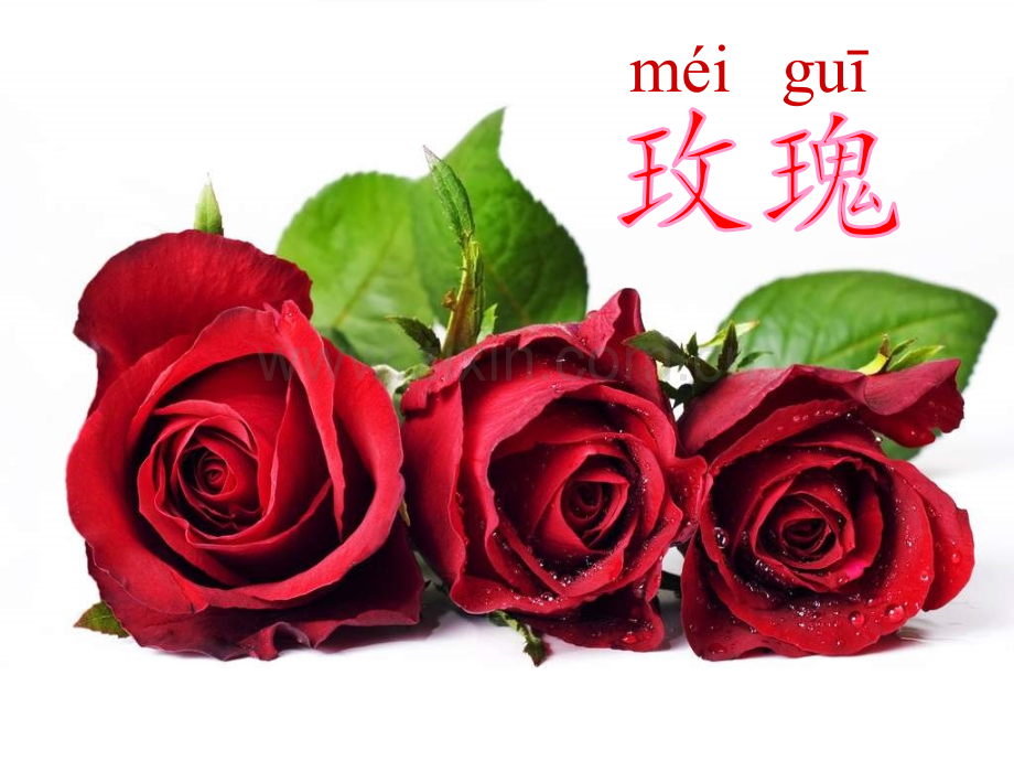 人教版语文二上5一株紫丁香.pptx_第2页