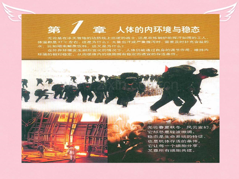 人教版生物必修三11细胞生活的环境.pptx_第1页