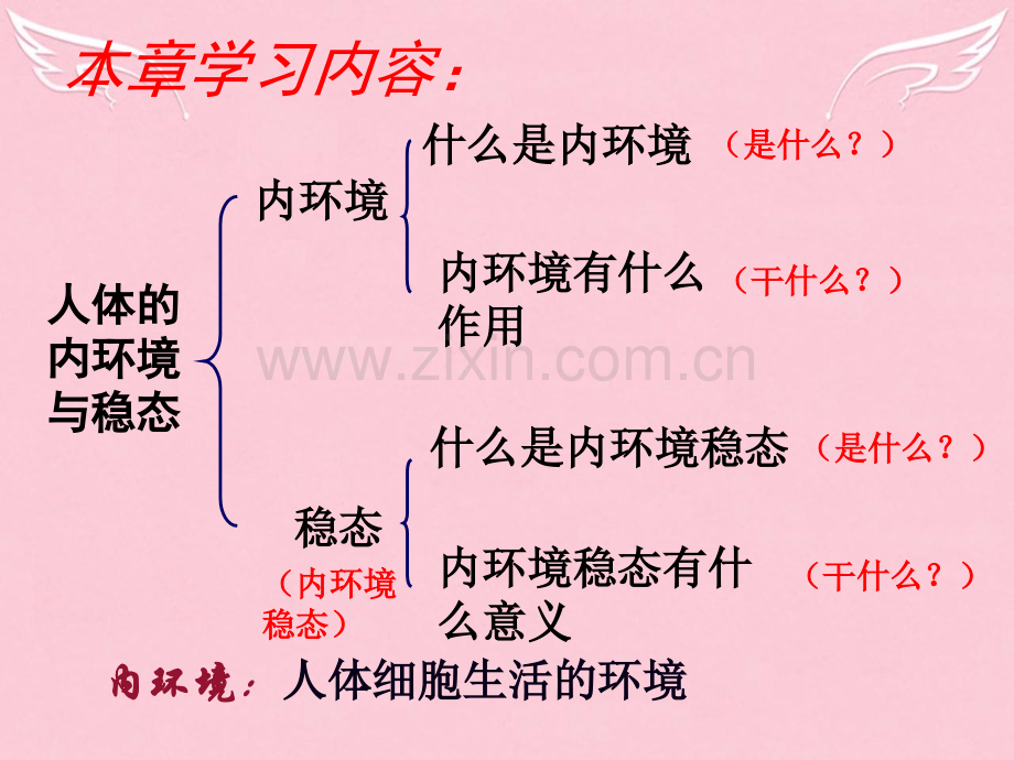 人教版生物必修三11细胞生活的环境.pptx_第2页