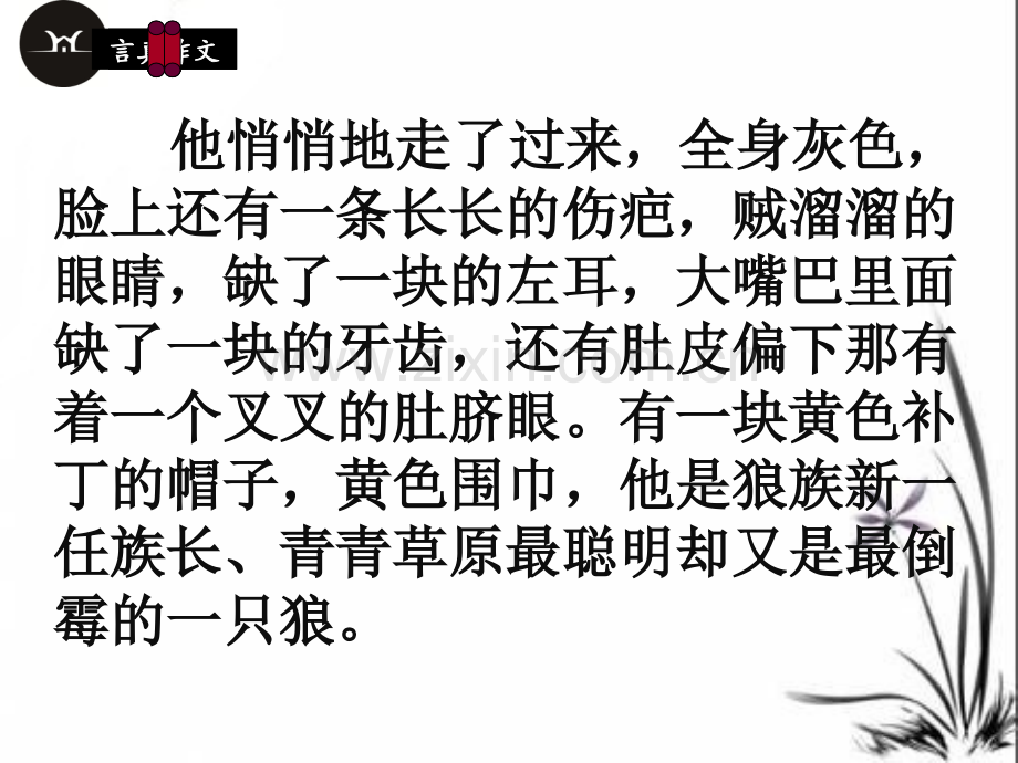 习作我给自己画张像.pptx_第2页