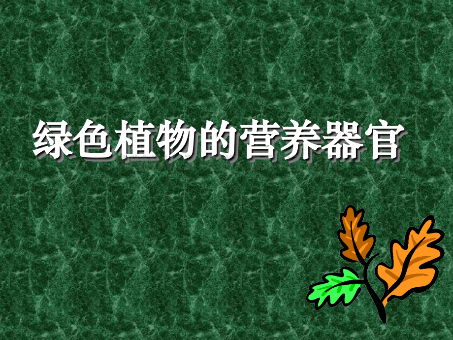 61绿色植物的营养器官.pptx_第1页