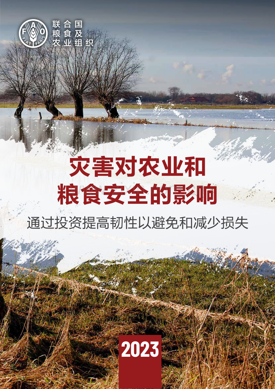 2023年灾害对农业和粮食安全的影响.pdf_第1页