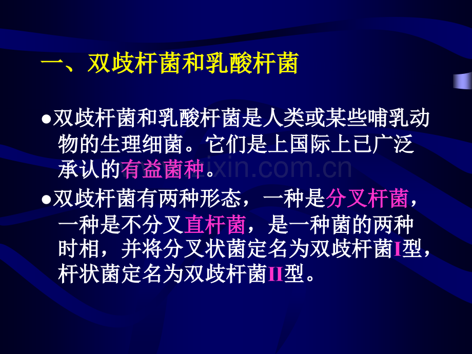37活性菌.pptx_第2页