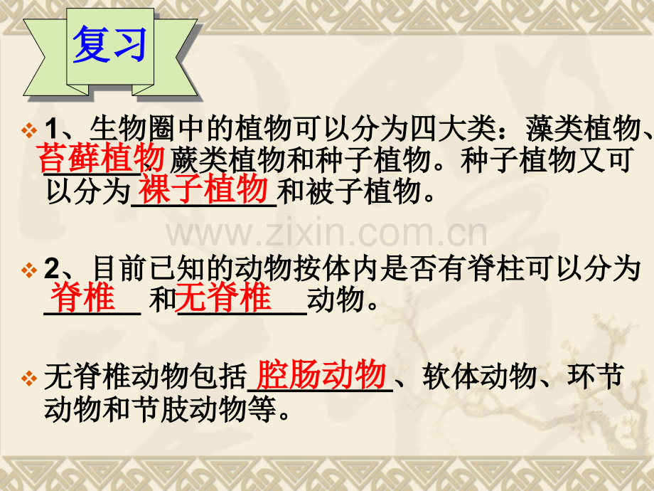 人教版八下生物进化的历程共21张.pptx_第1页
