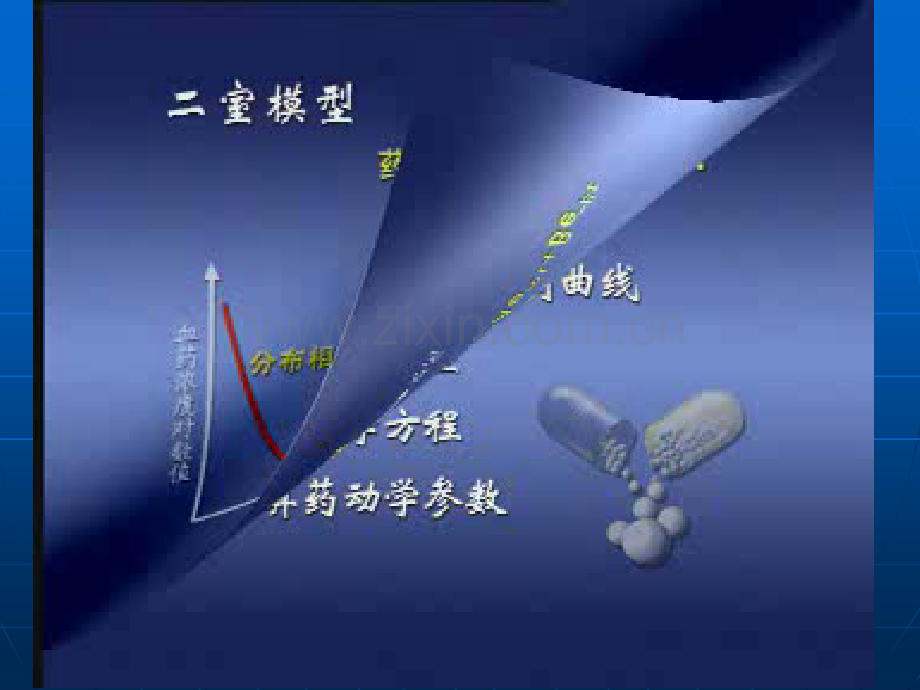 P与药代动力学参数计算.pptx_第2页