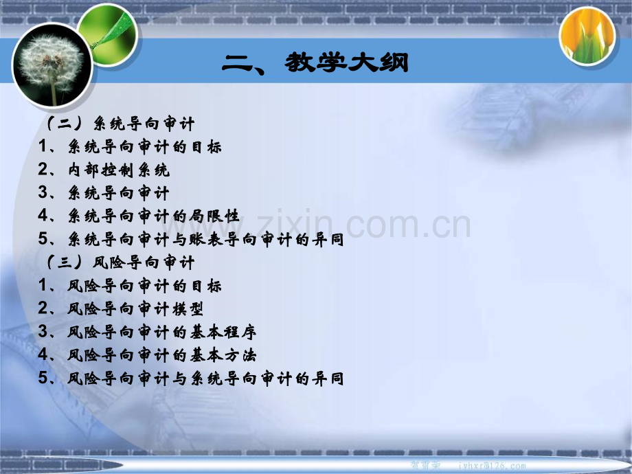 8审计技术和方法.pptx_第1页