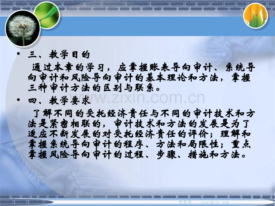 8审计技术和方法.pptx_第2页
