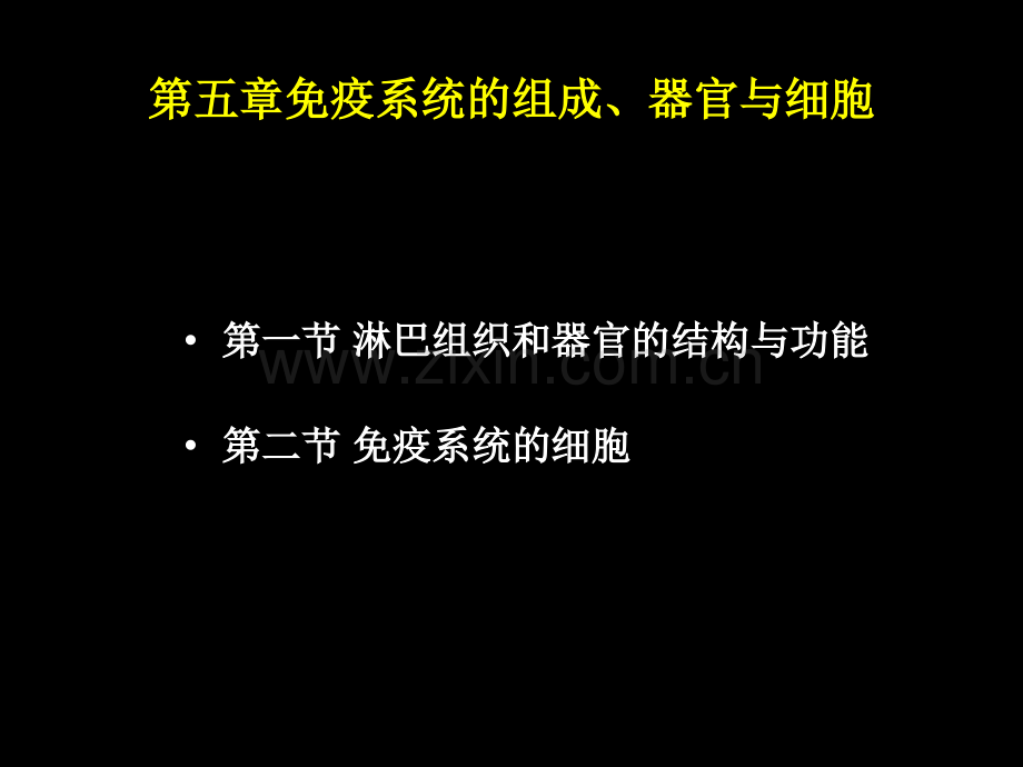 免疫系统的组织器官与细胞.pptx_第2页