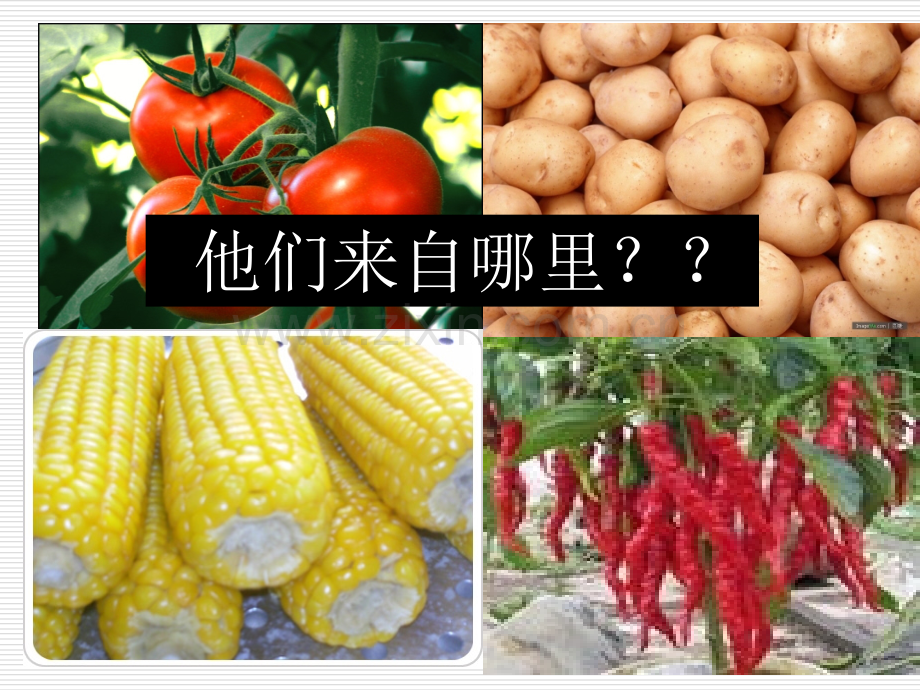 件新航路的开辟.pptx_第1页