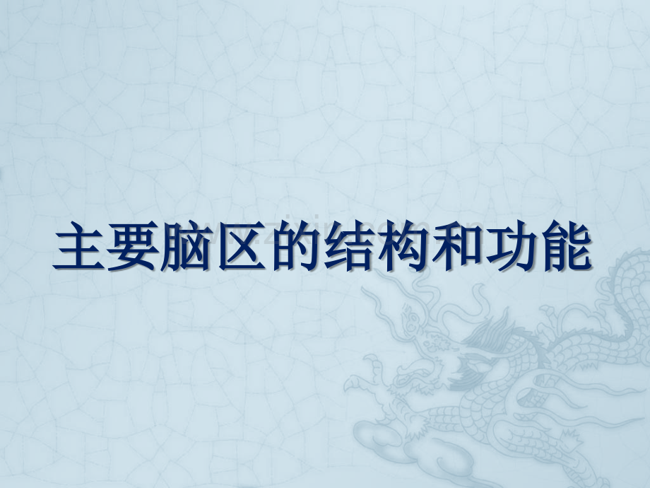 主要脑区的结构.pptx_第1页