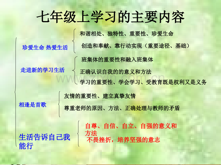 七年级政治上册复习.pptx_第1页
