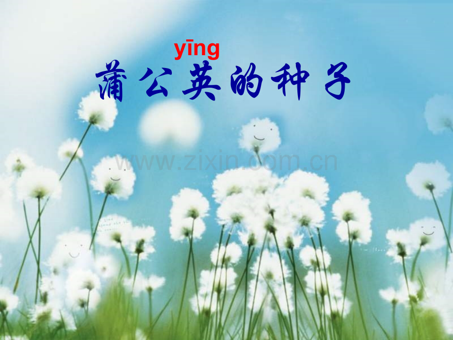 二年级语文蒲公英种子.pptx_第1页