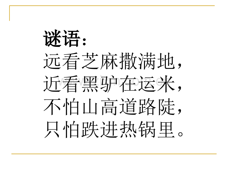 三年级科学上蚂蚁.pptx_第2页
