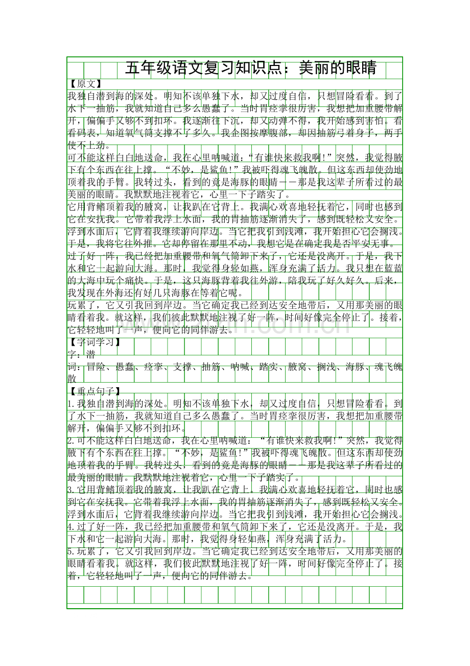 五年级语文复习知识点美丽的眼睛.docx_第1页