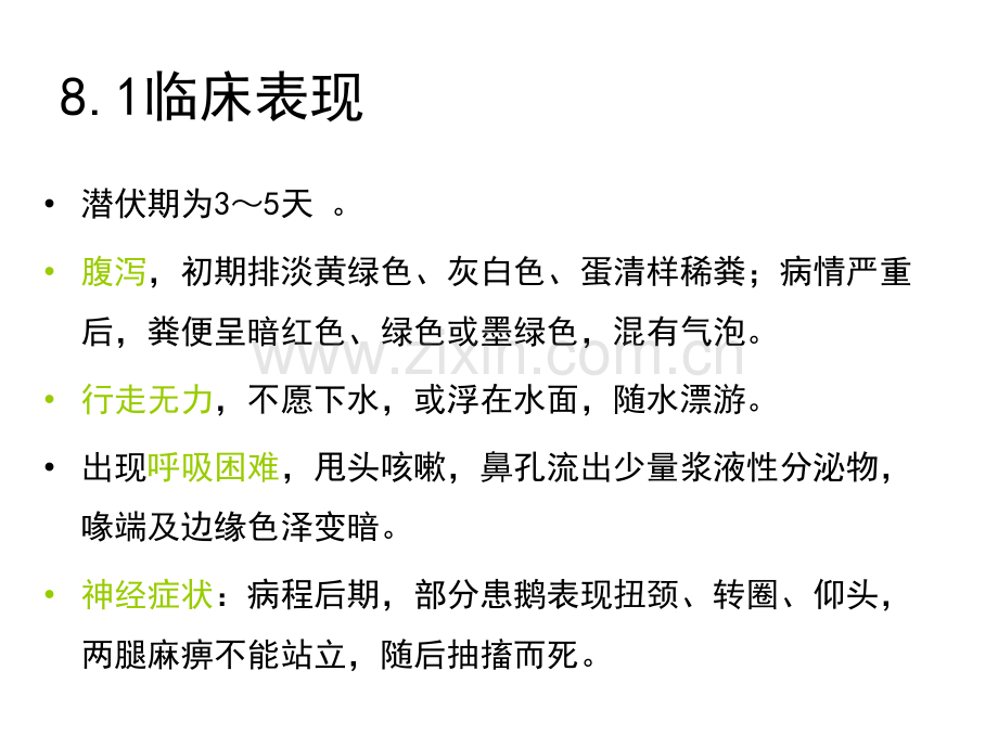 8鹅副粘病毒病.pptx_第2页