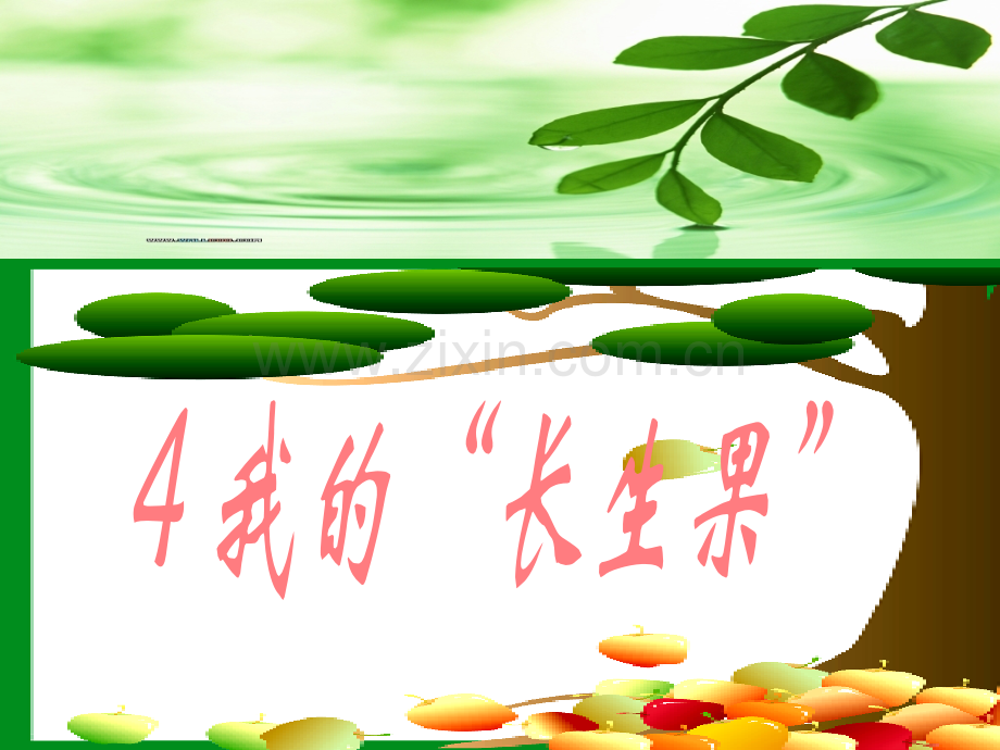 人教版五年级语文上册第一组04我的长生果.pptx_第1页